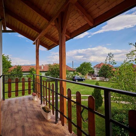 Vila Tara Hategului Ngoại thất bức ảnh