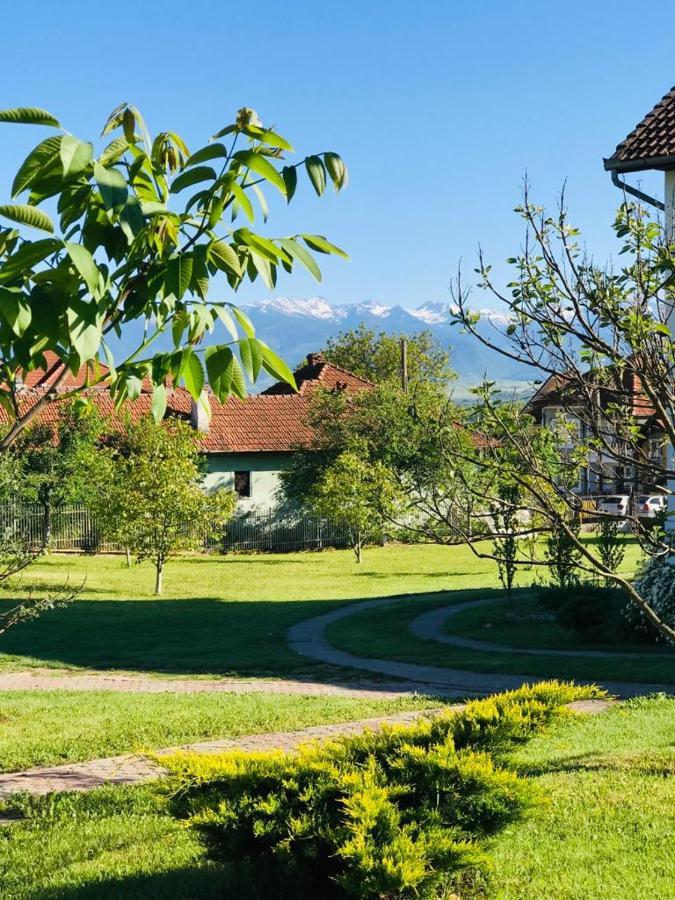 Vila Tara Hategului Ngoại thất bức ảnh